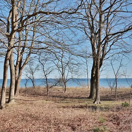 Lägenhet Boye71 Boye71